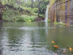 -千岛湖东南湖区