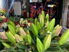 -何兮花店·气球派对鲜花店(马桥银春路万科城店)