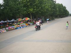 -石家庄市植物园