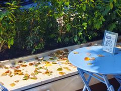 -Beans Solo豆号咖啡(百家湖花园店)