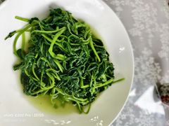 -天天向上素食餐厅(五台山店)