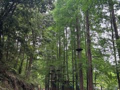 -灵栖洞天