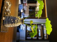 android_upload_pic-西安华清御汤酒店