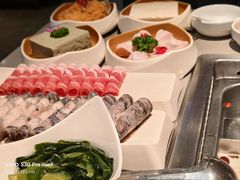 8秒海带苗-海底捞火锅(中州万达店)