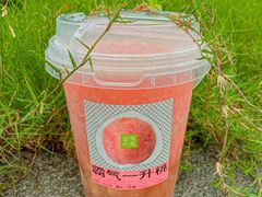 -奈雪的茶(湖滨银泰in77C区PRO店)