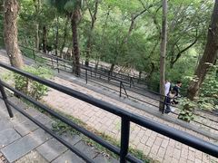 -上海佘山国家森林公园西佘山园