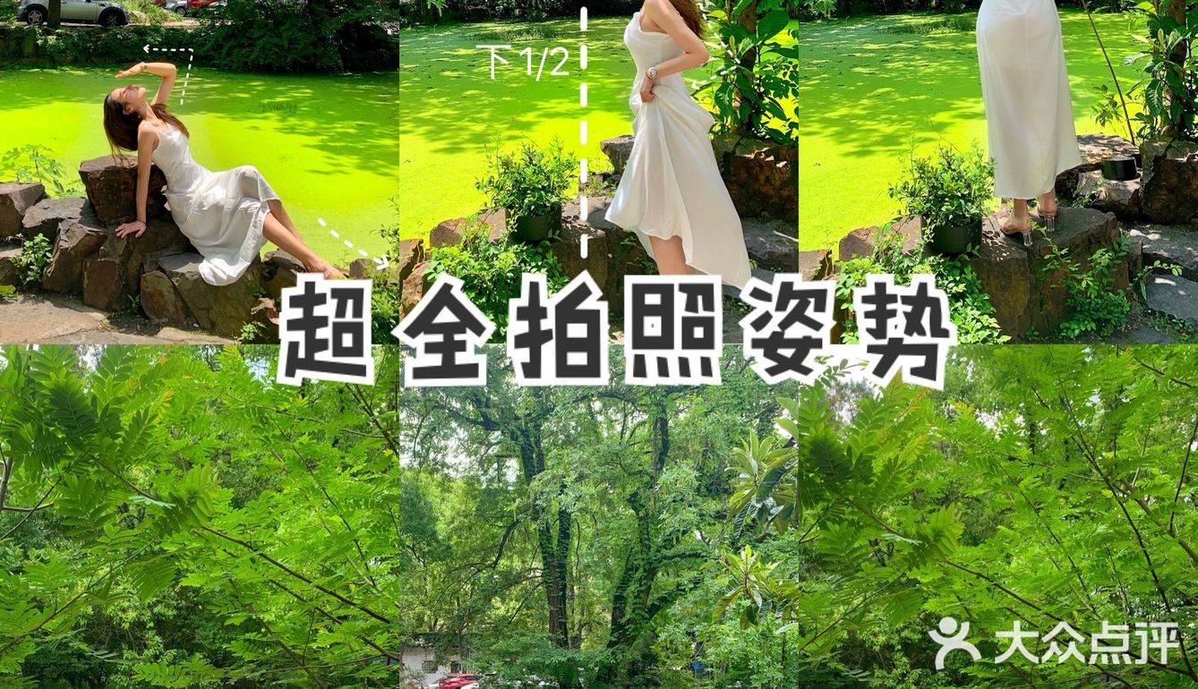 仙女拍照姿势合集