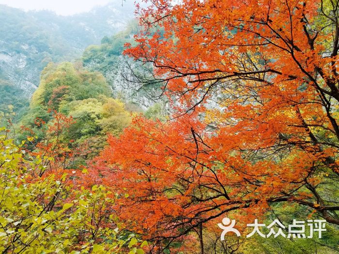 太平国家森林公园图片 - 第46张