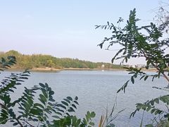 -塘沽森林公园