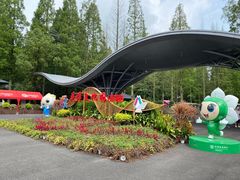 -东平国家森林公园