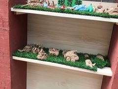 -爱唯大地双语幼儿园