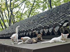 -狼山风景名胜区