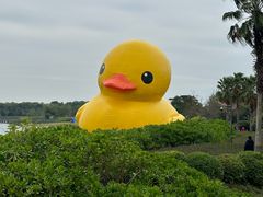 -深圳人才公园