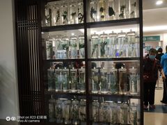 -北京中医药大学东直门医院(通州院区)