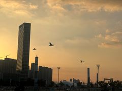 -东港音乐喷泉广场