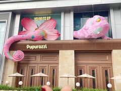 -帕帕拉兹宠物(亚洲旗舰店)