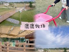 -盈香心动乐园