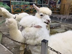 -上海大自然野生昆虫馆(东方明珠·爬宠昆虫探索中心)