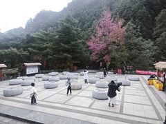 -苍山感通索道