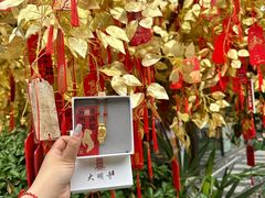 -大明寺素斋