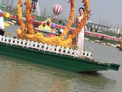 -荷兰花海