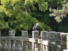 -汇龙潭