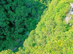 -天台山琼台仙谷景区