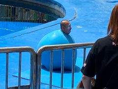 -华夏文旅海洋公园