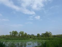 -大兴滨河森林公园