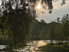 -东莞植物园