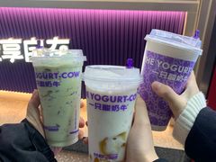 -一只酸奶牛(八一路店)