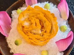 -菌自由丨野生菌火锅特色庭院餐厅(丽江古城店)