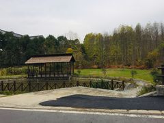-石塘人家