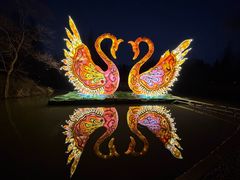 -洛阳市隋唐城遗址植物园