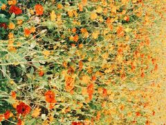-映月湖中央公园