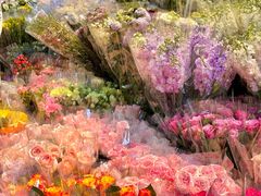 -循礼门鲜花花市(武汉循礼门店)