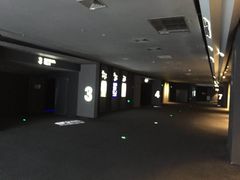 -星轶IMAX影城(桐乡吾悦广场旗舰店)