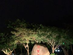 -野狸岛