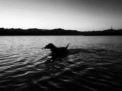 永定河休闲森林公园-永定河休闲森林公园