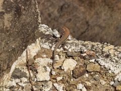 -蟠龙山长城景区