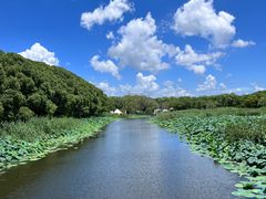 -同里国家湿地公园