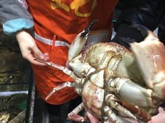 -蚝专家(北滘店)