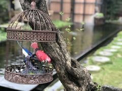 -邊渡咖啡