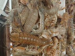 -渔民船说·北塘海鲜·天津菜·海肠捞饭(北塘古镇店)