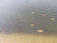 -水云涧温泉滑雪度假区