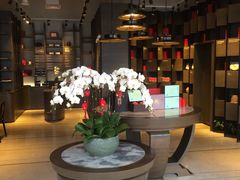 -王德传茶庄(上海新天地店)