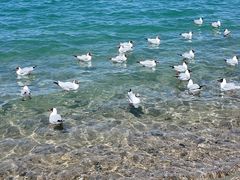 -青海湖二郎剑景区