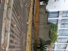 -复旦大学(张江校区)