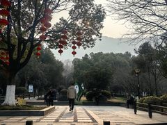 -惠山国家森林公园