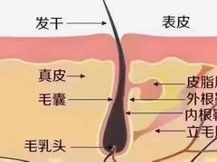 -中国农业大学(西校区)